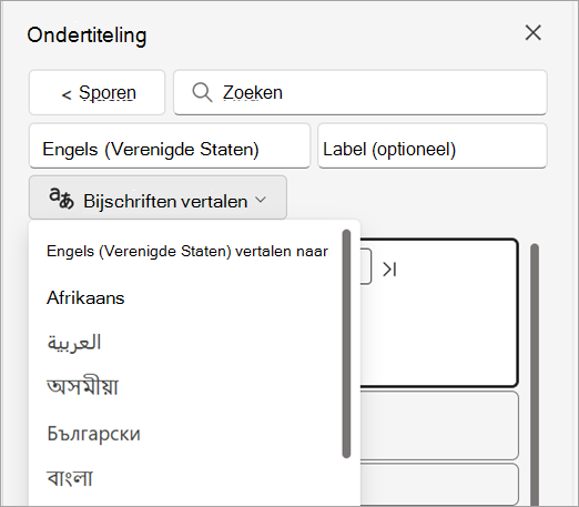 De vervolgkeuzelijst Bijschriften vertalen in het deelvenster Bijschriften.