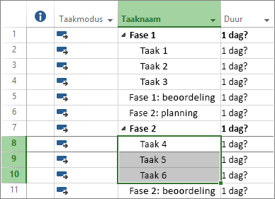 Schermafbeelding van een overzicht van taken in een projectplan.