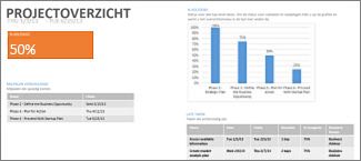 Rapport Projectoverzicht