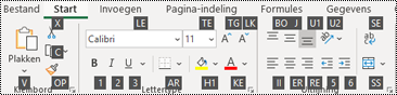 Toetstips op het Excel -lint.