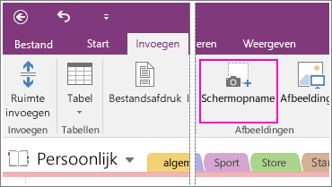 Schermafbeelding van de knop Schermopname invoegen in OneNote 2016