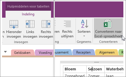 Schermafbeelding van de knop Converteren naar Excel-spreadsheet in OneNote 2016.