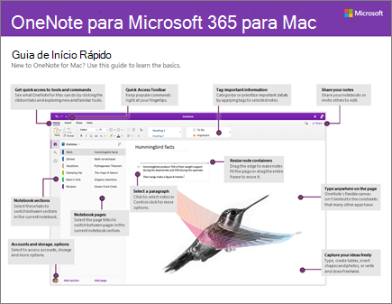 Guia de Início Rápido do OneNote 2016 para Mac