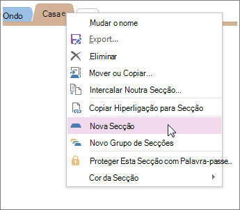 Adicionar uma nova secção ao OneNote.