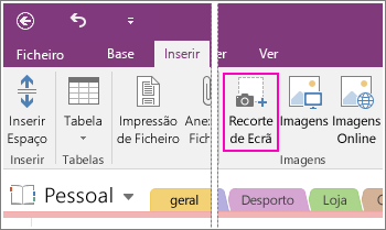 Captura de ecrã do botão Inserir Recorte de Ecrã no OneNote 2016