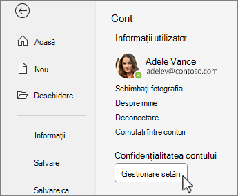 Informații de cont în backstage