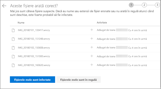 Captură de ecran a ecranului Aceste fișiere arată corect pe site-ul web OneDrive