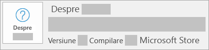 Captură de ecran afișând versiunea și compilarea Microsoft Store