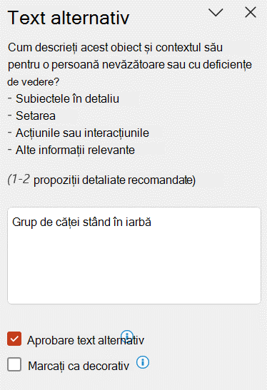 Text alternativ automat afișat în panoul Text alternativ cu caseta de selectare Aprobare text alternativ bifată.