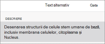 Caseta de dialog Text alternativ pentru imagini în OneNote pentru iOS.