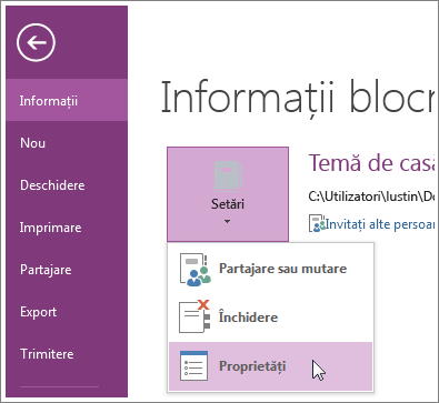 .Puteți face upgrade la cea mai recentă versiune de OneNote direct din meniul Fișier.