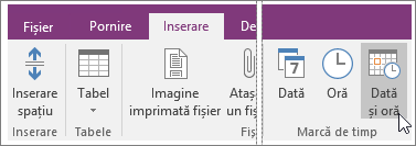 Captură de ecran a butonului Dată și Oră din OneNote 2016.