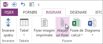 Inserarea unui fișier în notele dvs. ca atașare