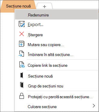 Captură de ecran a meniului contextual cu opțiunea Redenumire selectată.