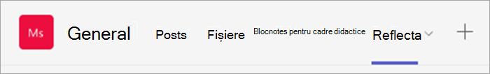 captură de ecran a navigării din partea de sus a echipei cadrelor didactice. Filele includ Postări, Fișiere, Blocnotes pentru cadre didactice și Reflectare.