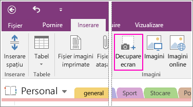 Captură de ecran a butonului Inserare decupare ecran din OneNote 2016