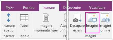 Captură de ecran a butonului Inserați imagini în OneNote 2016.