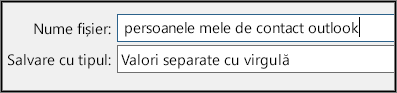 Atribuiți un nume fișierului dvs. cu persoane de contact.