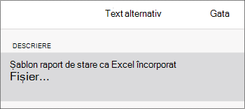 Caseta de dialog Text alternativ pentru un fișier încorporat în OneNote pentru iOS.