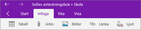 Visar fliken Infoga och de första ikonerna