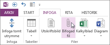 Infoga en fil i dina anteckningar som en bifogad fil