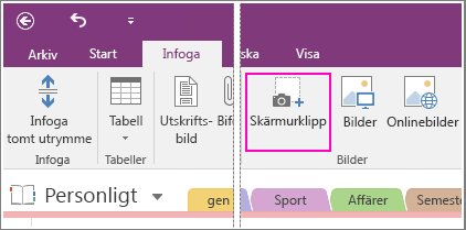 Skärmbild som visar knappen Infoga skärmurklipp i OneNote 2016