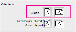 Sidorientering i PPT för Mac