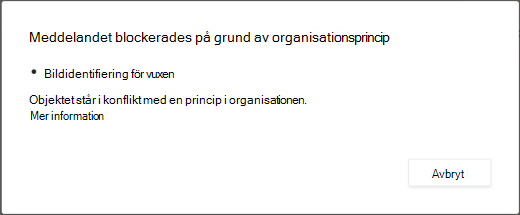 I ett dialogmeddelande förklaras varför ett meddelande har tagits bort för att innehåll som innehåller vuxeninnehåll har tagits bort.