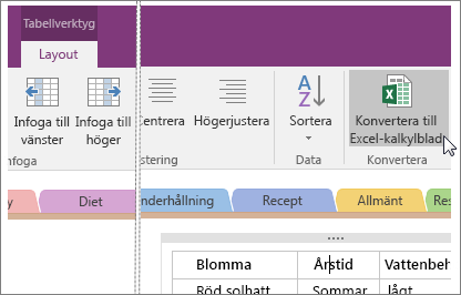 Skärmbild av knappen Konvertera till Excel-kalkylblad i OneNote 2016.