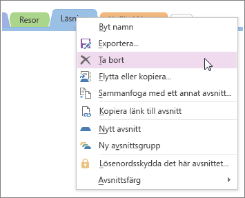 Skärmbild av hur du tar bort ett avsnitt i OneNote 2016.