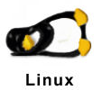 Sleeping Penguin